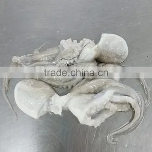 Baby Octopus thumbnail-2