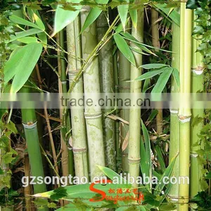 Chinses Factory Cheap Artificial Lucky Bamboo Wholesale Artificial Bamboo Tree Bamboo Poles Wholesale for Home thumbnail-6