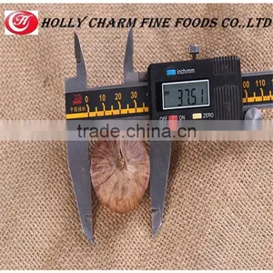 Healthy Snack for th Old and the Young Solo Black Garlic thumbnail-1