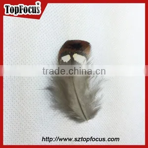 Hot Sale Dyed Wholesale Natural Cheap Artificial Pheasant Feathers Prices thumbnail-2