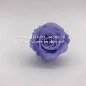 Top Festival Party Decoration Preserved Flower Supplier thumbnail-2