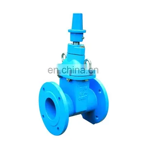 Ductile Cast Iron Non Rising Stem Gate Valve 3 Inch for Hdpe Pipe thumbnail-1