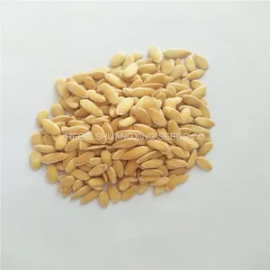 Cantaloupe No.1 Chinese Round Shape Melon Seeds for Sale thumbnail-3