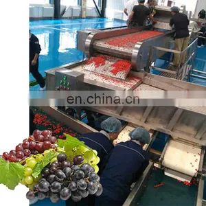 China Newest Grape Fruit Juice Machine Production Line Manufacturers thumbnail-2