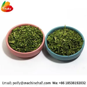 Food Grade Dried Coriander Leaves Supplier thumbnail-4