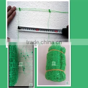 Flower Pea Bean Plastic Plant Support Netting thumbnail-1
