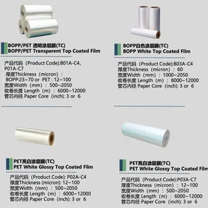 PET Release Liner and Film Facestock for Self Adhesive (pressure Sensitive) Materials, and BOPP Functional Pack Films for Packaging Industry thumbnail-2