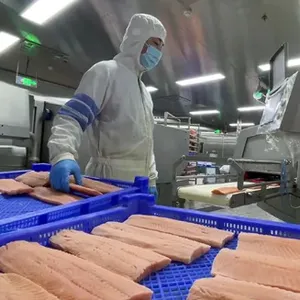 Salmon Fish Processing Line Production Line Salmon Killing Taper Machine thumbnail-3