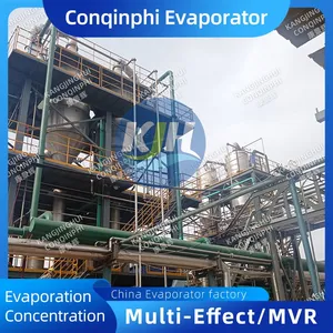 1 Year Warranty Vacuum Evaporator-Crystallizer With On-Site Commissioning and Training thumbnail-1
