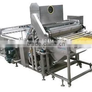 XF-QX Vegetable Washing Machines thumbnail-1