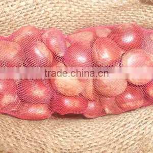 Fresh Style and Chestnut Type Fresh Chestnut thumbnail-1