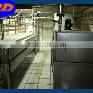 Manufacturer Poultry Slaughtering Equipments/chicken Plucker thumbnail-1