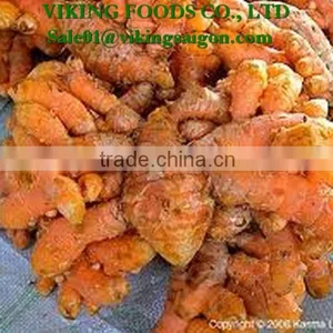 VIETNAM FRESH TURMERIC GOOD QUALITY, COMPETITIVE PRICE thumbnail-1