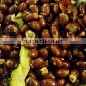 Longan Sheller thumbnail-5