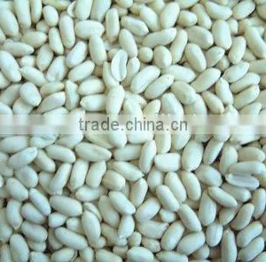 Blanched Peanuts From China to Export thumbnail-1