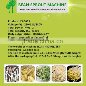 Soya Bean Sprout/automatic Sprout Machine/yellow Bean thumbnail-3