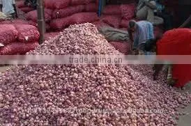 Shallot Exporters/Small Onion Exporters thumbnail-5
