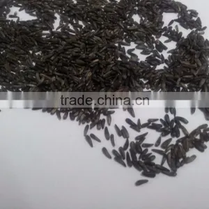 NIGER SEED, NYJER SEEDS FOR BIRD FEED thumbnail-1