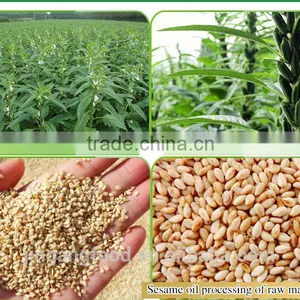 Sell Gingelly Oil/100% Pure High Quality Gingeli Oil/sesame Oil thumbnail-6