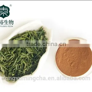 100% Natural Pure Green Tea Extract Powder Instant Powder 50% thumbnail-3