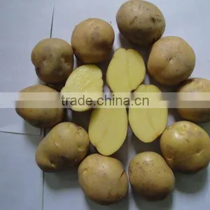 Potato thumbnail-1