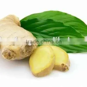 2015 New Price of Fresh Ginger , Ginger Price , Ginger thumbnail-1