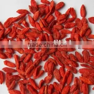 New Batch Goji Berry Wih Good Prce thumbnail-4