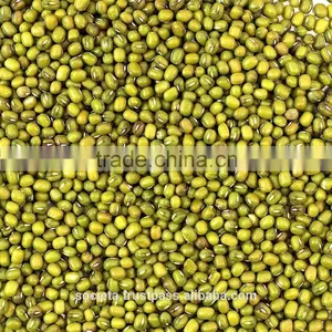 Australian Green Mung Beans thumbnail-1