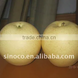 2011 Fresh Crown Pear Manufacture Suppliers thumbnail-1