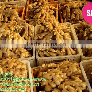 2012 Chinese Mature Ginger Price thumbnail-1