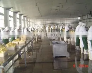 Shandong Joywin Green Agriculture Development Co., Ltd. company overview - view 2 thumbnail
