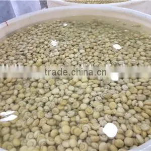 Brine Meter Light Yellow Mushroom Slices Brine Champignon Mushroom High Quality Champignon Mushrooms Brine Salted Boiled in Bag thumbnail-3