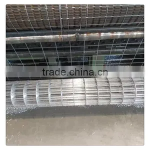 Stainless Steel Welded Wire Mesh / Galvanized Welded Wire Mesh for Sale thumbnail-1