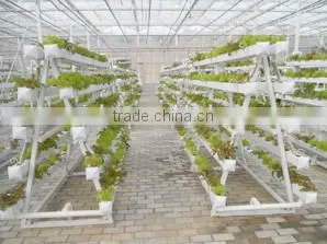 Hydroponic Systems Plastic Seedling Trays, Nursery Pot thumbnail-1