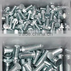Rivet Screw thumbnail-1