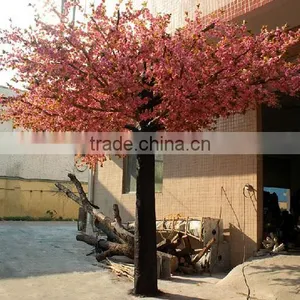 GNW BLS1503001 Small Pink Indoor Peach Blossom Tree for Decoration thumbnail-3