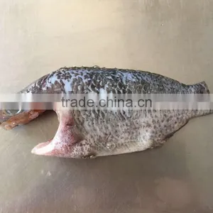 Frozen Tilapia Fillet thumbnail-1
