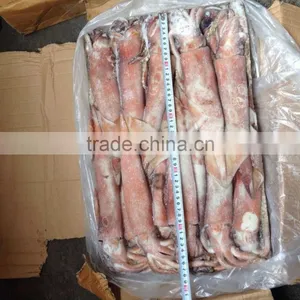 200-300g Frozen Seafood Japanese Flying Squid thumbnail-3