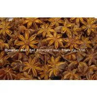 Star Aniseed thumbnail-2