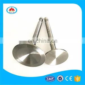 Manufacturer of Engine Valve for Nissann B3 Tsuru thumbnail-6