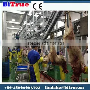 Professional Halal Style Sheep Used Slaughterhouse Equipment thumbnail-1