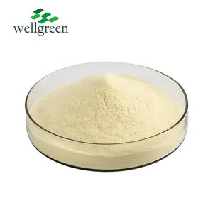 Wellgreen Supply Non-GMO Soybean Extract 20%-40% Soy Isoflavones Soybean Soluble Polysaccharides Powder thumbnail-2