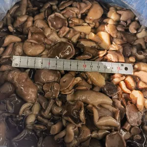 SUILLUS GRANULATUS IN BRINE thumbnail-2
