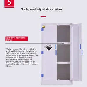 Hengna University Lab PP Cabinet - Safe Chemical Storage for Educational Institutions Supplier thumbnail-4