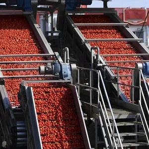 Shanghai Factory Tomato Pulp Making Machine/ketchup Making Machine thumbnail-5