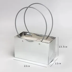Paper Luxury Slivery Packaging Blink Bag thumbnail-3