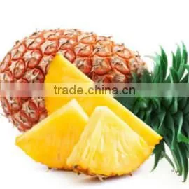 Viet Nam Tropical Tea Joint Stock Company company overview - view 2 thumbnail