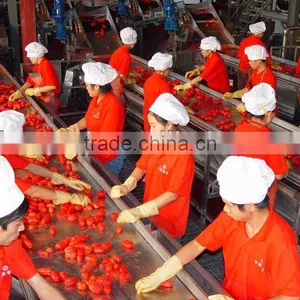 Tomato Paste thumbnail-3