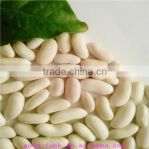 White Kidney Beans (heilongjiang) thumbnail-1