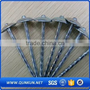 Steel Twist Shank Roofing Nails Manufacturers thumbnail-1